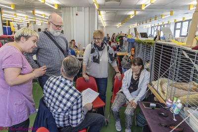 Katzenausstellung Berlin-Reinickendorf 2018