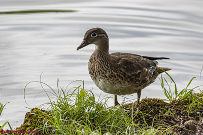 Königswusterhausen, August 2021