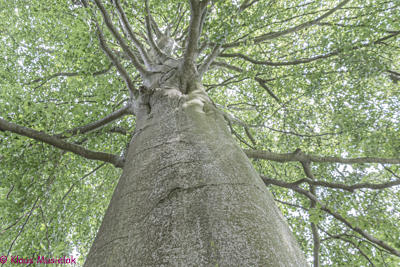 Königswusterhausen, August 2021