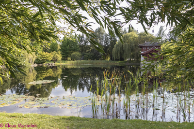 Chinesischer Garten