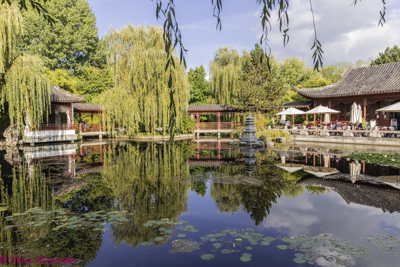 Chinesischer Garten