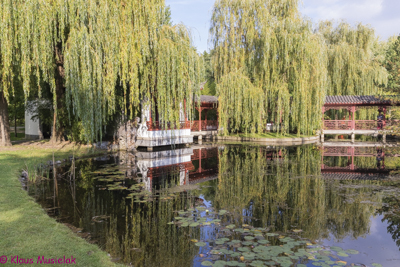 Chinesischer Garten