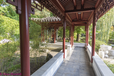 Chinesischer Garten