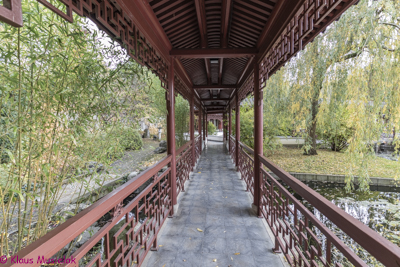 Chinesischer Garten