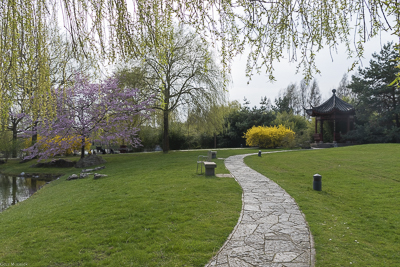 Chinesischer Garten