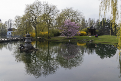 Chinesischer Garten