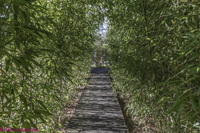 Gartenkabinett China