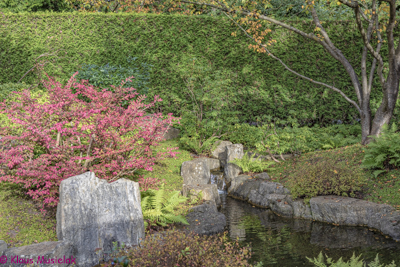 Gärten der Welt, Berlin - Marzahn, Herbst 2021
