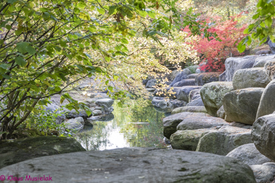 Gärten der Welt, Berlin - Marzahn, Herbst 2021