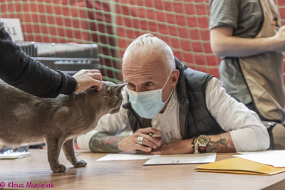 Auge in Auge mit dem Tiger: Poznan, November 21