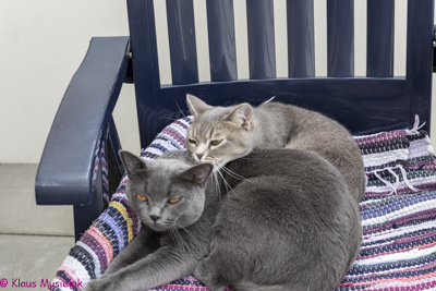 Lemmy vorn, dahinter Sweety